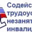 Прием заявлений о предоставлении государственной услуги по организации сопровождения при содействии занятости инвалидов - Плесецкий муниципальный район