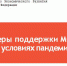 Меры поддержки МСП в условиях пандемии - Плесецкий муниципальный район