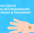 Как сдать на исследование клеща - Плесецкая ЦРБ