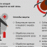 В Поморье участились случаи укусов клещами - Сетевое издание Плесецкие новости