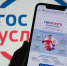На госуслугах появился новый сервис для людей с ограниченными возможностями здоровья - Сетевое издание Плесецкие новости