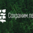 Поморье готовится к Всероссийской акции «Сохраним лес» - Сетевое издание Плесецкие новости