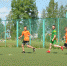Спорт - норма жизни - Сетевое издание Плесецкие новости
