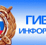 ГИБДД: выезжать на средствах индивидуальной мобильности на проезжую часть нельзя! - Сетевое издание Плесецкие новости