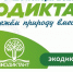 Жителям Архангельской области предлагают написать экологический диктант - Сетевое издание Плесецкие новости