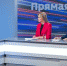 Александр Цыбульский поручил дать ответ на каждый вопрос, поступивший на прямую линию - Сетевое издание Плесецкие новости