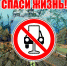 Увидел пьяного водителя - сообщи - Сетевое издание Плесецкие новости