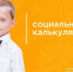 Жители Архангельской области могут воспользоваться онлайн-сервисом «Социальный калькулятор» - Сетевое издание Плесецкие новости