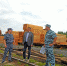 С производством ИК-21 познакомился руководитель Плесецкого округа - Сетевое издание Плесецкие новости