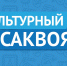 Активное долголетие: проект «Культурный саквояж» предлагает новую программу - Сетевое издание Плесецкие новости
