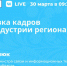 Будущих IT-специалистов работодатели Поморья присматривают с университета - Сетевое издание Плесецкие новости