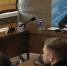 В Поморье в этом году на голосование по выбору территорий для благоустройства представлено 65 общественных пространств - Сетевое издание Плесецкие новости