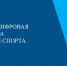 Спортивная сфера Архангельской области перейдет на единую цифровую платформу - Плесецкий муниципальный район