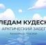 В Архангельске 17 февраля пройдет Всероссийский зимний забег «По следам кудесника» - Сетевое издание Плесецкие новости