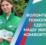 871 волонтер готов оказать помощь жителям Поморья в голосовании за объекты благоустройства - Сетевое издание Плесецкие новости