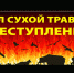 Травяной пал – причина лесных пожаров! - Плесецкий муниципальный район