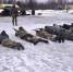 Жителей Поморья приглашают на военную службу по контракту - Сетевое издание Плесецкие новости