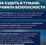 Будьте внимательны за рулем осенью! - Сетевое издание Плесецкие новости