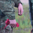 Северян приглашают на военную службу по контракту - Сетевое издание Плесецкие новости
