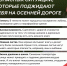 Осенние опасности на дороге - Сетевое издание Плесецкие новости