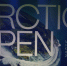 В Архангельске открылся VIII Международный кинофестиваль VIII Arctic Оpen - Сетевое издание Плесецкие новости