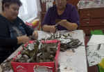 Активисты Устьянского округа продолжают поддерживать участников СВО