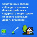 Косить траву за забором: ваша обязанность!
