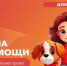 Благотворительной акции по сбору корма для животных! - Плесецкий торгово-промышленный техникум