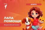 Благотворительной акции по сбору корма для животных!