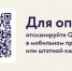 День защитника Отечества — особая дата для всей страны.. - Плесецкий муниципальный округ